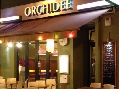 照片: Orchidee